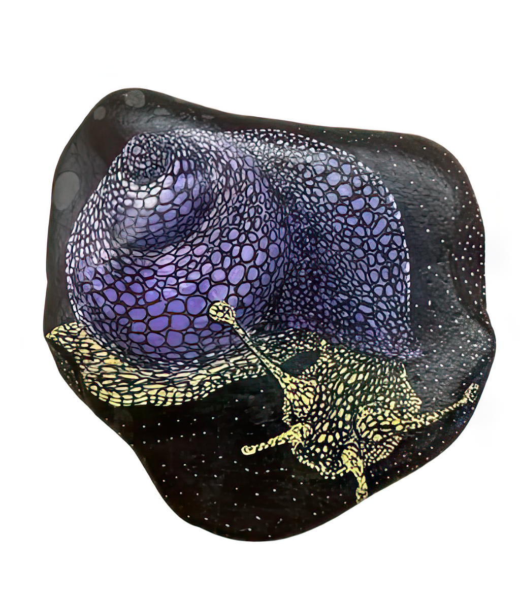 Snail Art Stone