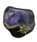 Snail Art Stone