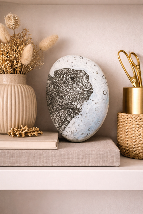 Chamaleon Stone
