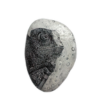 Chamaleon Stone