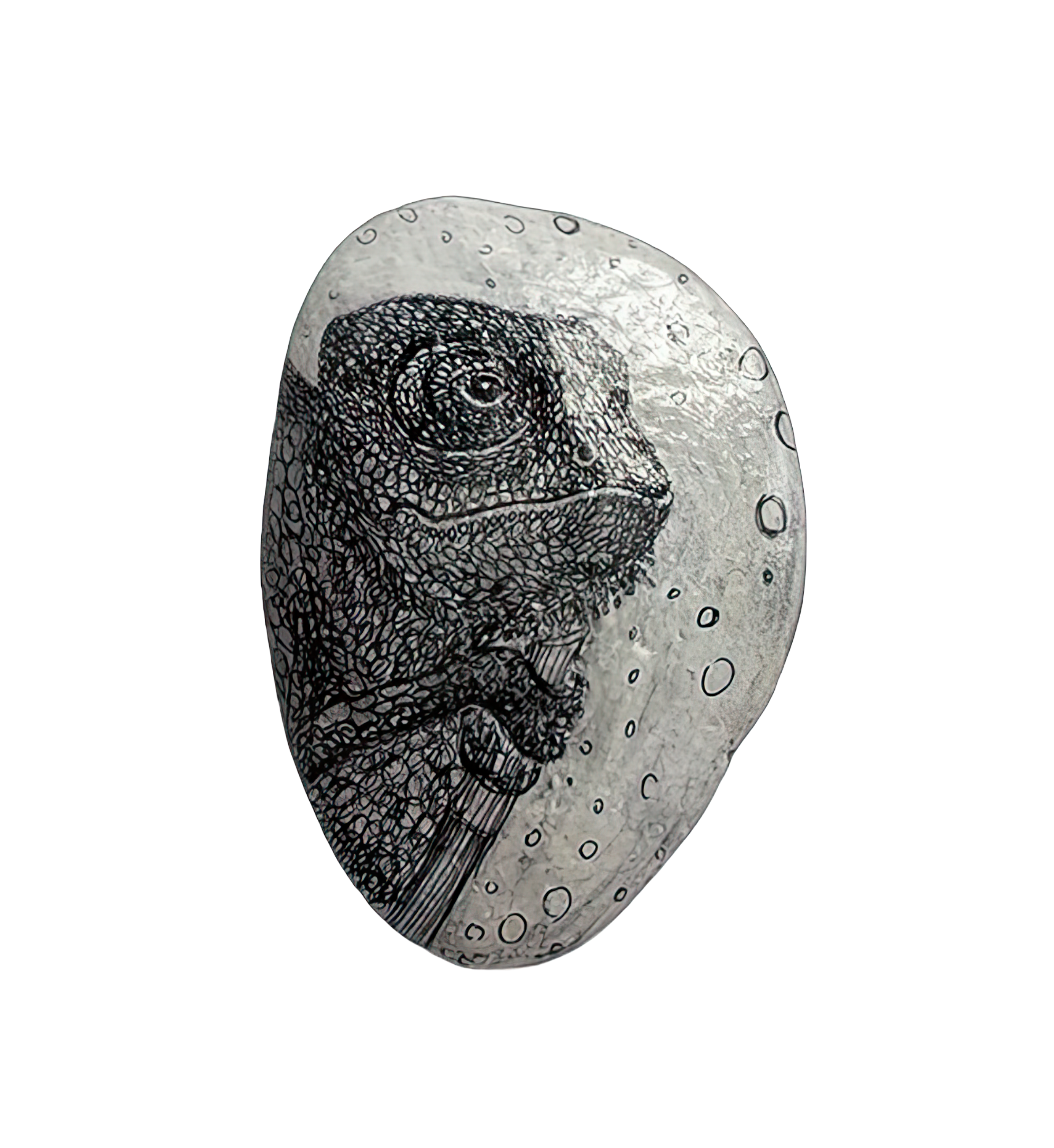Chamaleon Stone