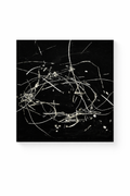 Abstract black and white painting with tangled white lines and streaks on a dark background.